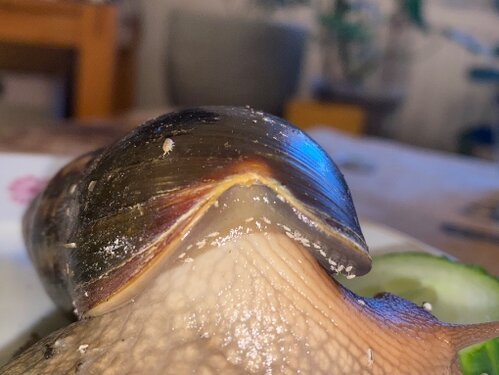 IMG_7400.jpeg