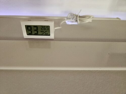 20250806_183031.jpg