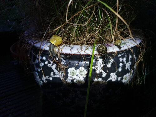 wenn es dunkel wird.jpg