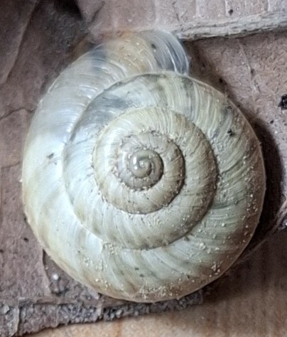 20250910_135517.jpg