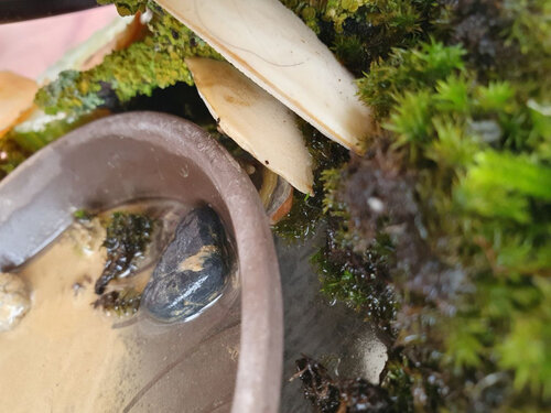 Kleine Rosi im Versteck.jpg