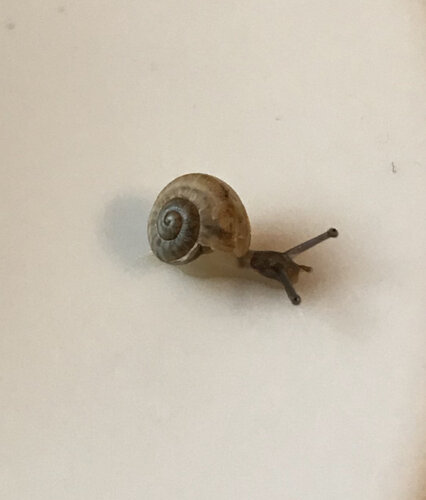 20181118_134540_IMG_2877.jpg