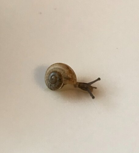 20181118_134533_IMG_2876.jpg