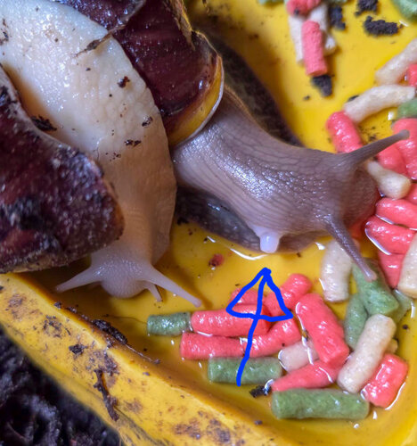 20251127_235130 (1).jpg