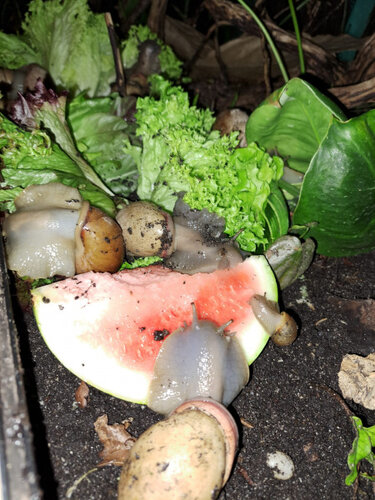 WhatsApp Image 2026-02-19 at 21.55.08.jpeg