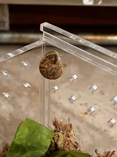 WhatsApp Image 2026-02-26 at 20.50.02.jpeg