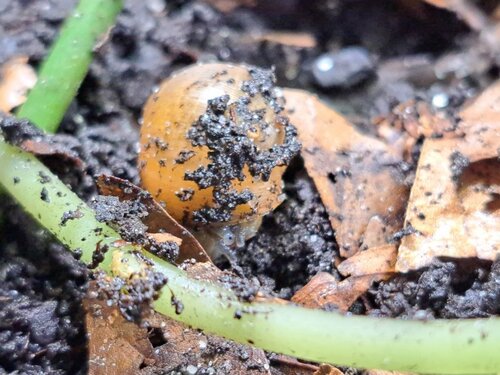 WhatsApp Image 2026-03-01 at 10.20.48.jpeg