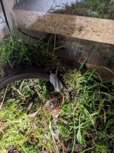 WhatsApp Image 2026-03-26 at 13.05.34.jpeg