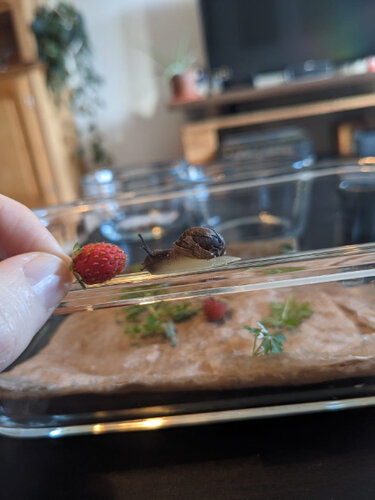 WhatsApp Image 2026-03-26 at 13.04.50.jpeg