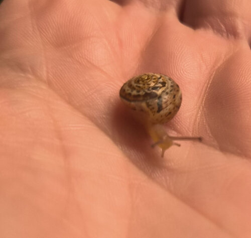 photo_2026-04-20 15.43.12.jpeg