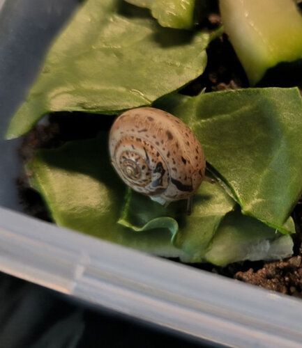 photo_2026-04-20 15.43.19.jpeg