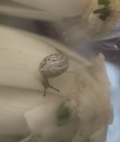 photo_2026-04-20 15.43.16.jpeg