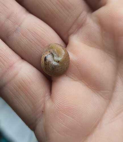 2026-04-20 16.39.41.jpg