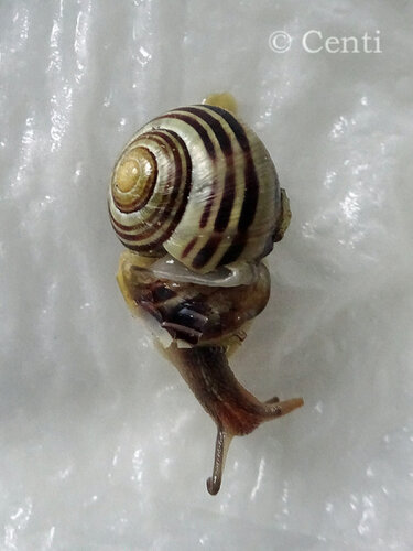DSC03492.jpg