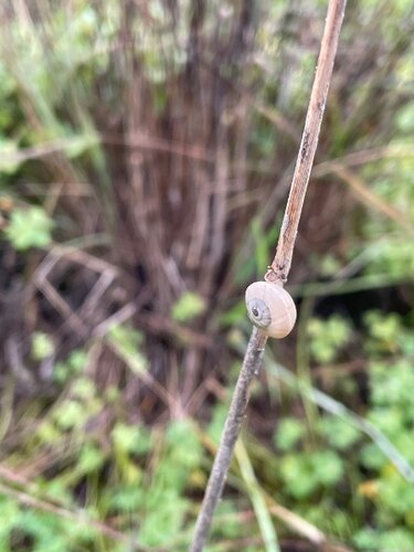 IMG_5069.jpeg