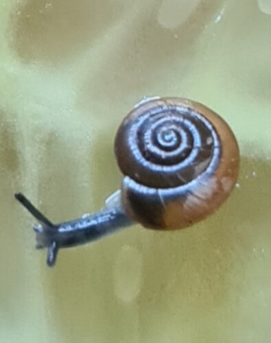 20260625_123407.jpg