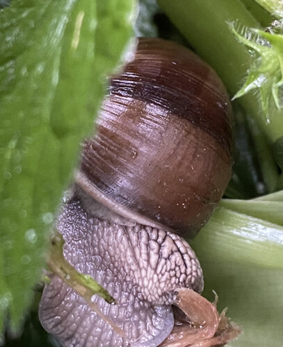 IMG_6711.jpeg