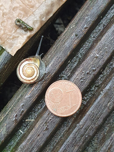 1cent7.jpg