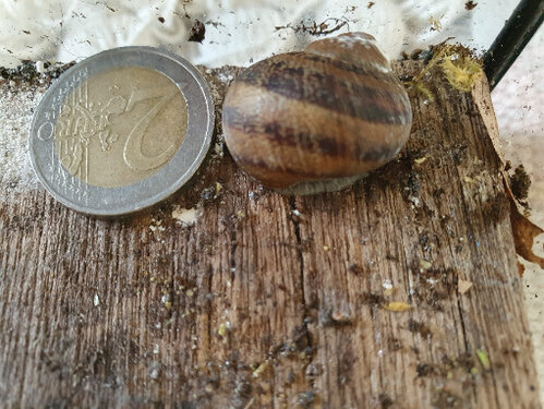 Conny mit 2 Euro.jpg