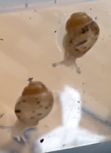 20260717_181304.jpg