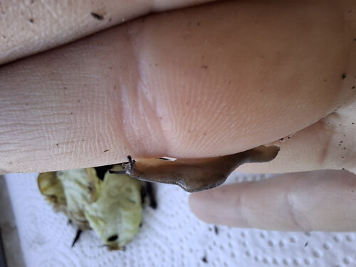 20260908_181745.jpg