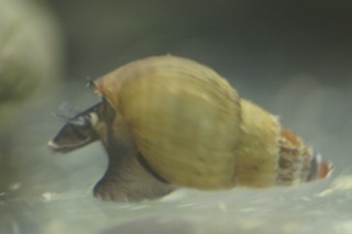 _DSC0160 [320x200].JPG