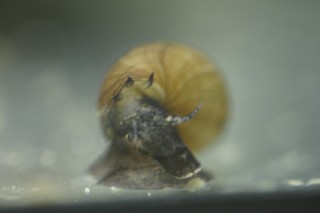 _DSC0140 [320x200].JPG