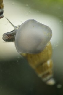 _DSC0163 [320x200].JPG