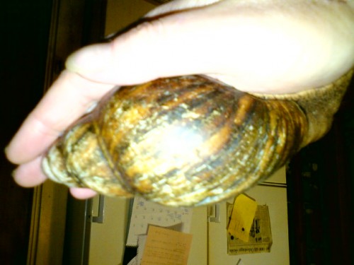 DSC00248.JPG