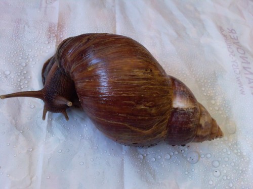 Foto-0054_Größe ändern.jpg