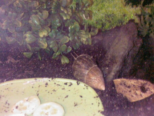 Foto-0007_Größe ändern.jpg