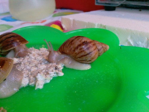Foto-0035_Größe ändern.jpg